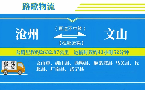 沧州到麻栗坡县物流专线