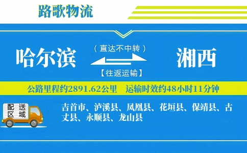 哈尔滨到保靖县物流专线